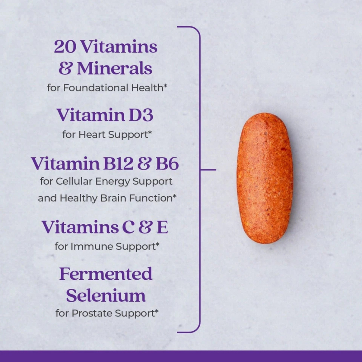 New Chapter Every Man’s One Daily 55+ Multivitamin – Brain, Heart, Prostate & Immune Support – Fermented Nutrients – 72 Caplets