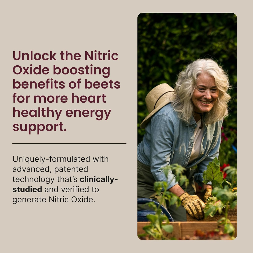 Buy 2, Get One FREE – HumanN SuperBeets Beet Root Powder – Black Cherry