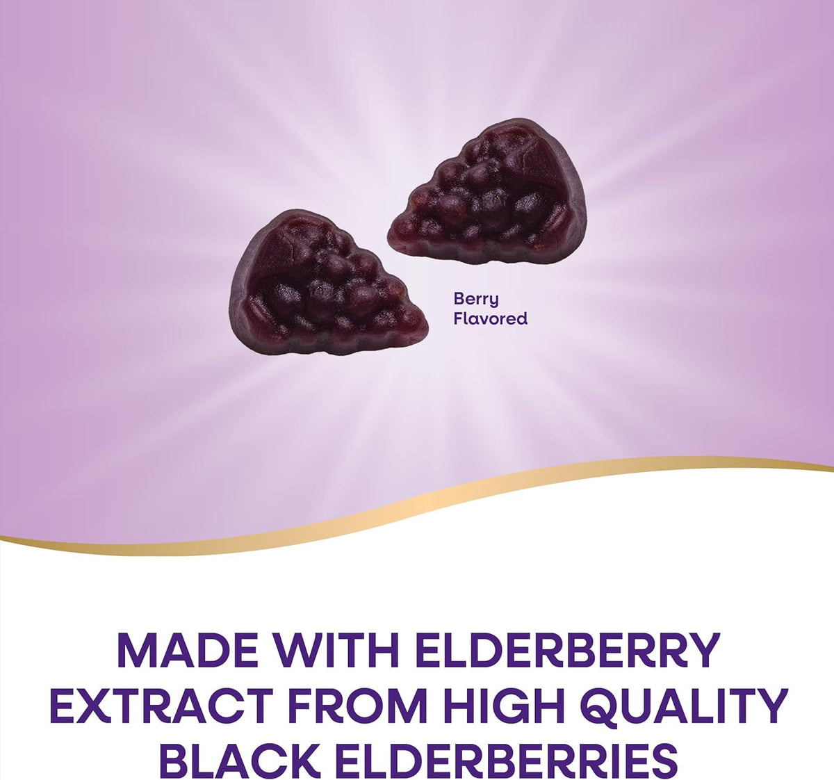 Nature's Way Sambucus Elderberry Immune Gummies