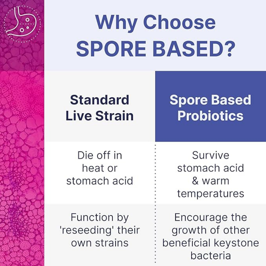 Microbiome Labs MegaSporeBiotic Probiotic – Spore-Based Gut Health & Digestive Support Supplement – Shelf-Stable, Travel-Friendly – 60 Capsules