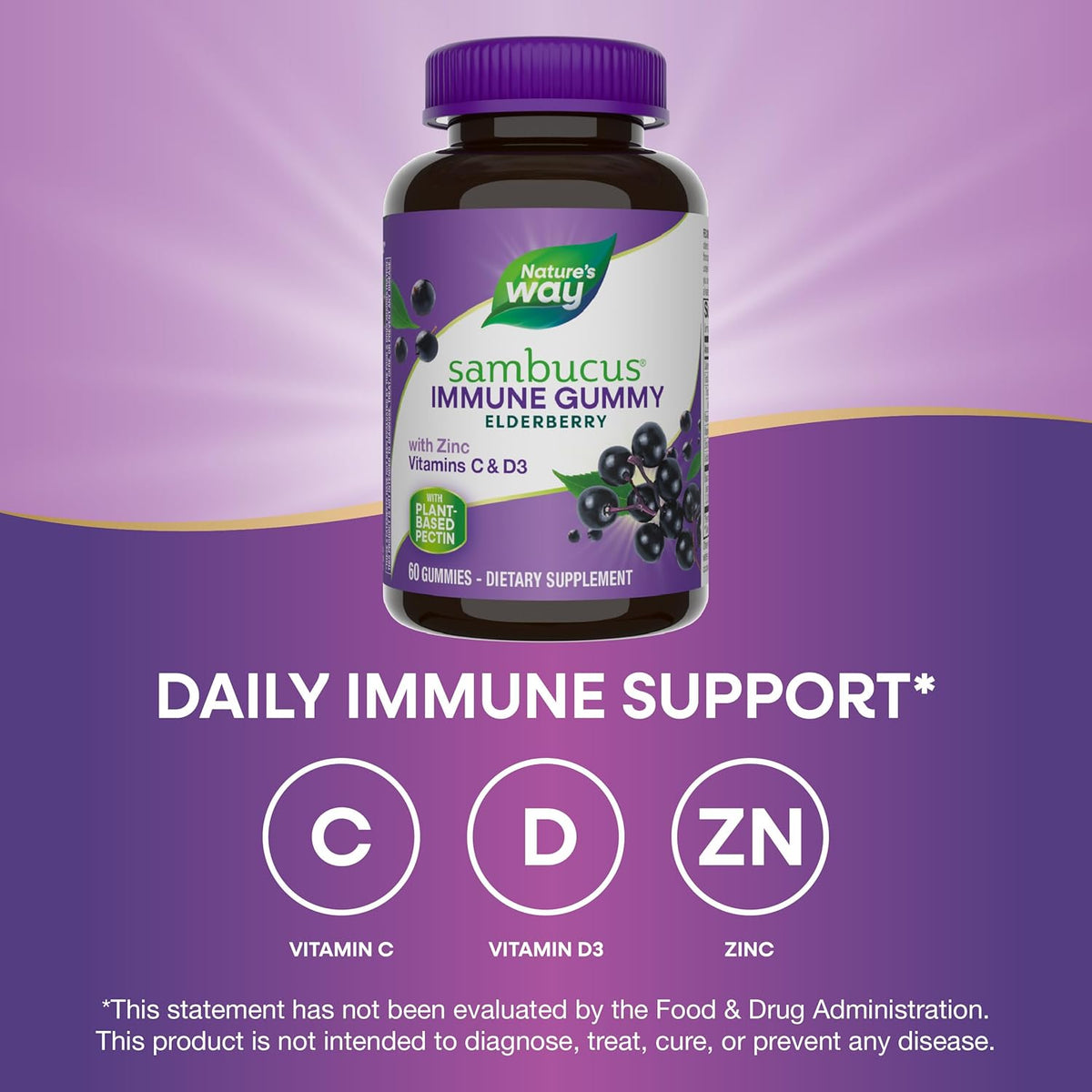 Nature's Way Sambucus Elderberry Immune Gummies