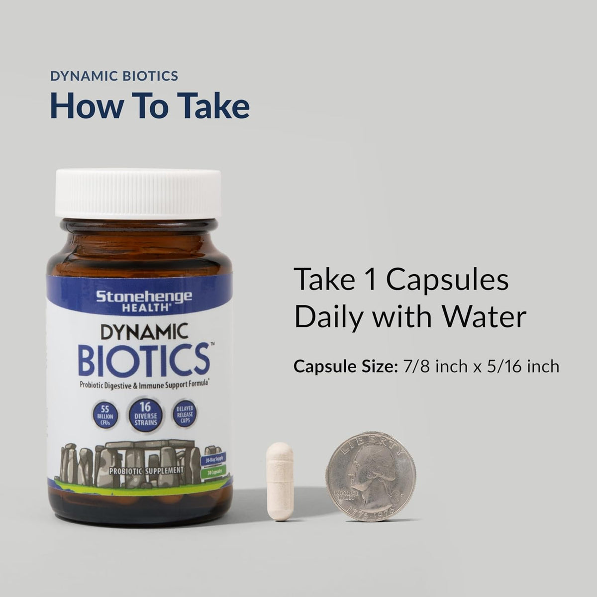 Stonehenge Health Probiotics 55 Billion CFU - 16 Strains, Prebiotic, Synbiotics Dynamic Biotics - Lactobacillus Acidophilus, Delayed Release, Shelf Stable, Non-GMO Gluten Free Veggie Capsule